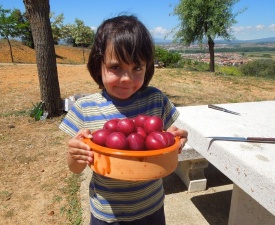 June 2013 Sam and plums